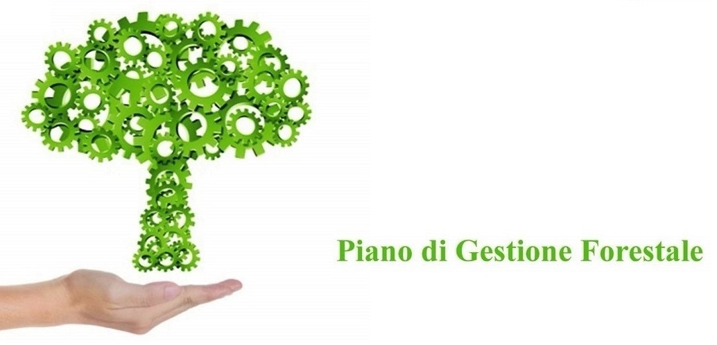 PIANO DI GESTIONE FORESTALE DEL COMUNE DI CASTELLO